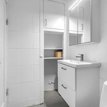 Apartment Cozy 1br In Reykjavik